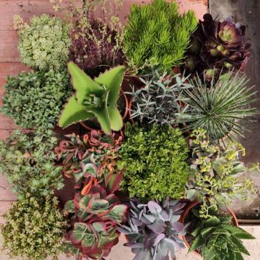 088  UNIDAD DE CRASAS MIX C-25